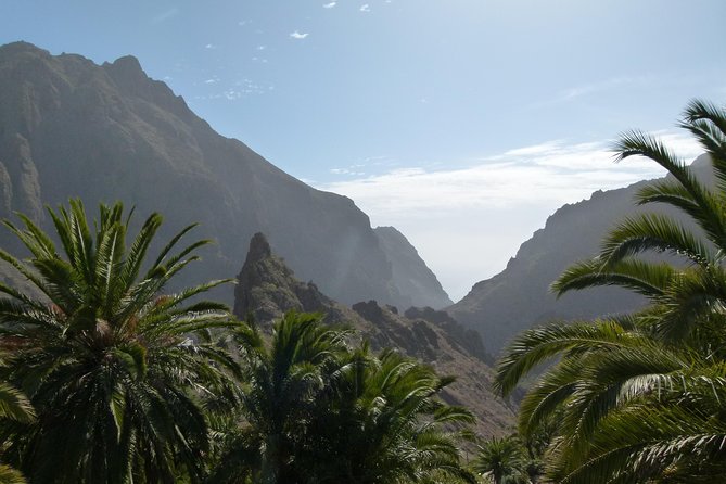 Tenerife Highlights Full-Day Tour - Garachico and the eruption that changed its port