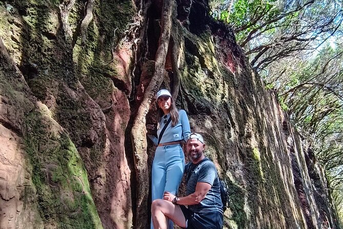 Tenerife: Hiking Tour in Anaga Mountains and Enchanted Forest - A seven-hour change of scene from Tenerife’s coast