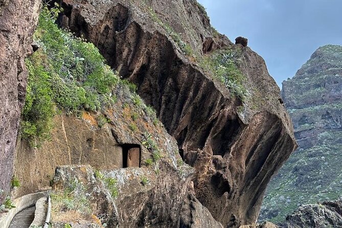 Tenerife: Hiking Tour in Anaga Mountains and Enchanted Forest - Who should book this Anaga hike?