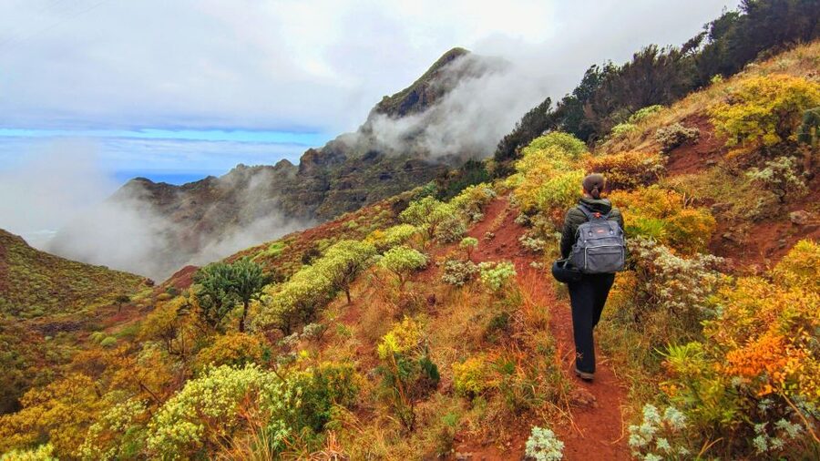 Tenerife: Hiking Tour in Anaga Mountains & Enchanted Forest - From southeast Tenerife to Anaga’s mountain air