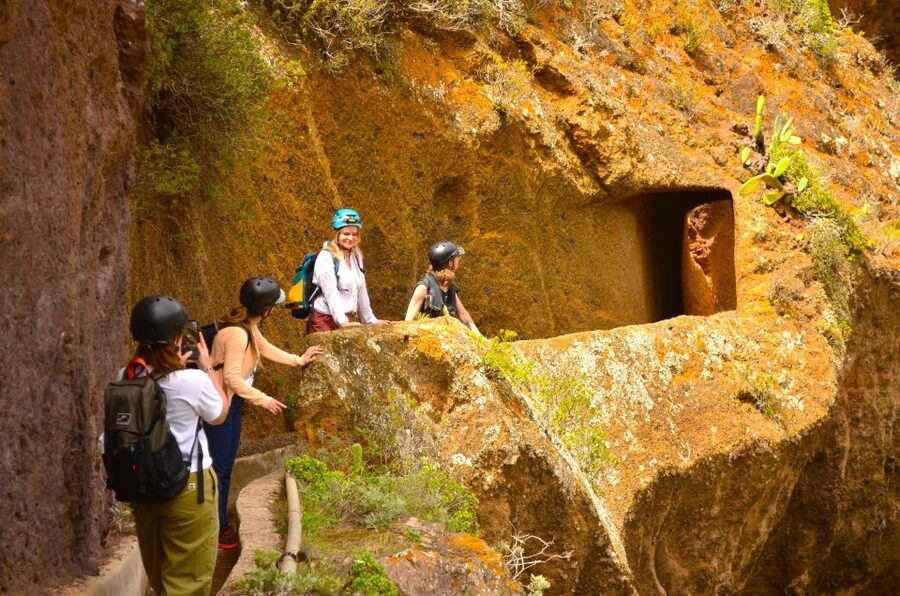 Tenerife: Hiking Tour in Anaga Mountains & Enchanted Forest - FAQ