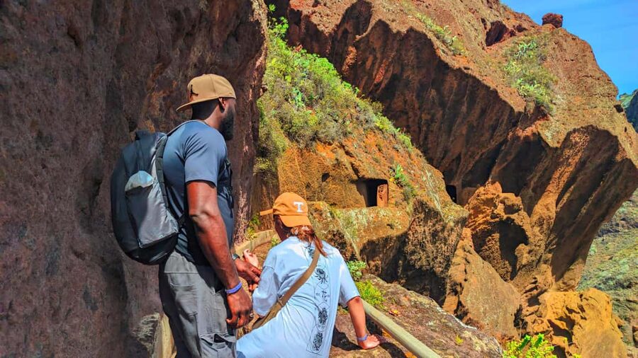 Tenerife: Hiking Tour in Anaga Mountains & Enchanted Forest - A laurel forest with a different feel