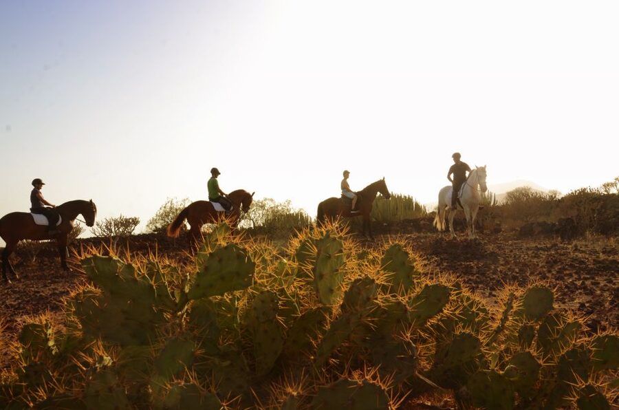 Tenerife: Horseback Ride with Instructor - From Xanadu to Tenerife’s volcanic slopes