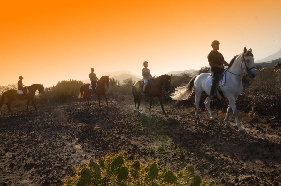 Tenerife: Horseback Ride with Instructor - What happens before you set off