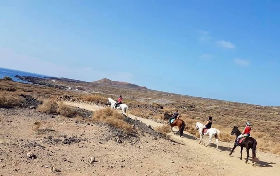 Tenerife: Horseback Ride with Instructor - The horses and the guide make the difference