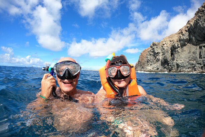 Tenerife: Kayak and snorkel with marine life safari - Watching for dolphins and turtles