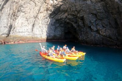 Kayak and snorkel with marine life safari