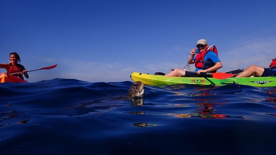 Tenerife: Kayak and Snorkel with Turtles, Wetsuits Included - The Cueva de los Enamorados stop