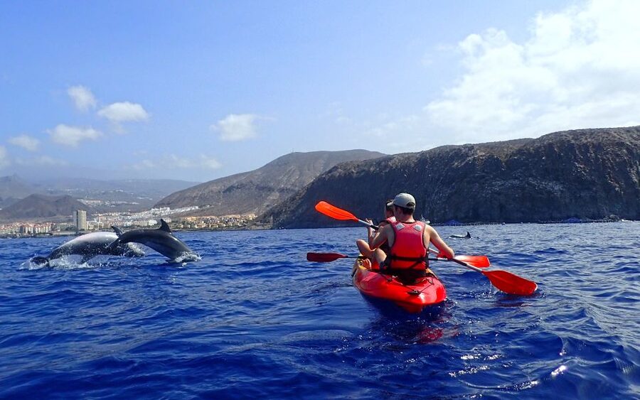 Tenerife: Kayak and Snorkel with Turtles, Wetsuits Included - Snorkeling in a bay reached by boat