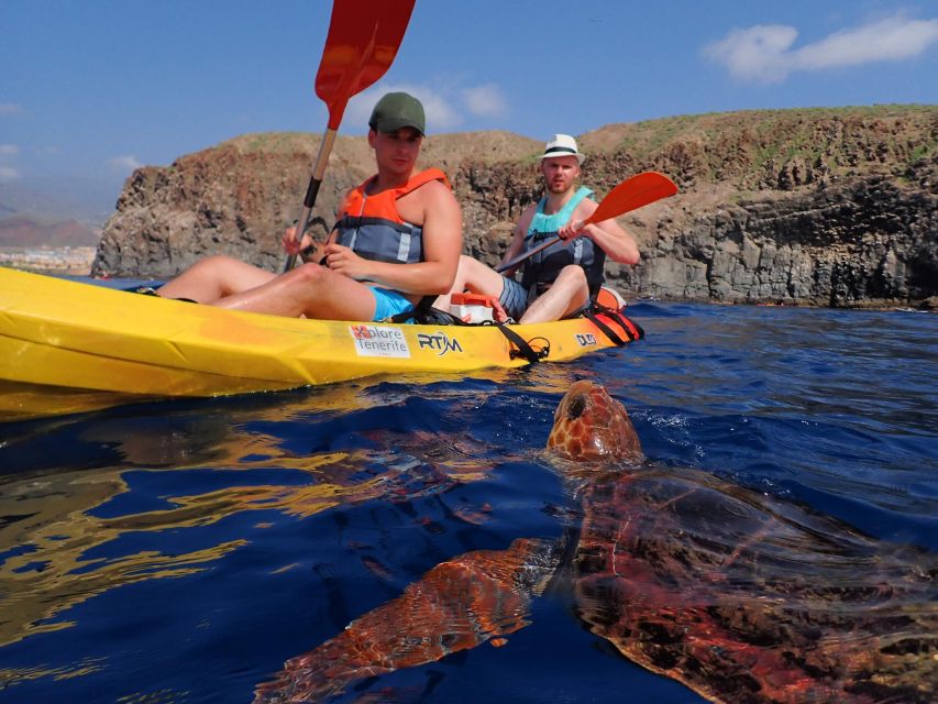 Tenerife: Kayak and Snorkel with Turtles, Wetsuits Included - Setting out from Los Cristianos