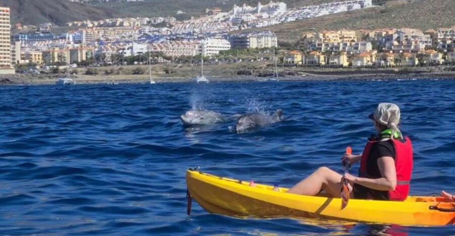 Tenerife: Kayak Safari and Sea Turtle Snorkeling with Photos - A sea cave and a pause for snorkeling