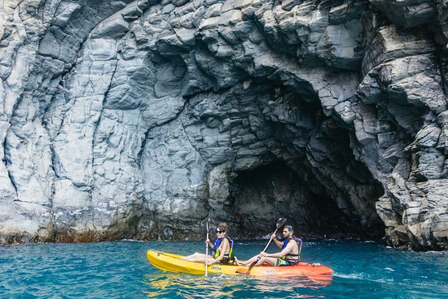 Tenerife: Kayak Safari and Sea Turtle Snorkeling with Photos - What the $29 price includes
