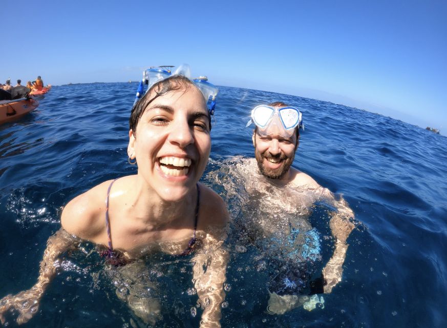 Tenerife: Kayak Safari and Sea Turtle Snorkeling with Photos - Should you book this kayak safari?