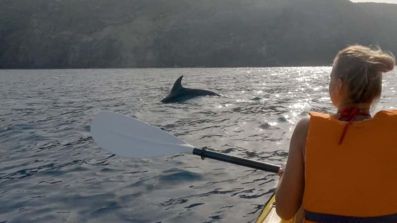 Tenerife: Kayak & Snorkeling Tour - Small Groups - The return paddle and a rinse on shore