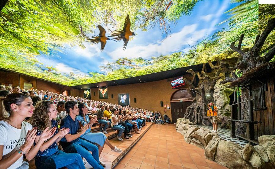 Tenerife: Loro Parque Entry Ticket - Loro Parque at a glance