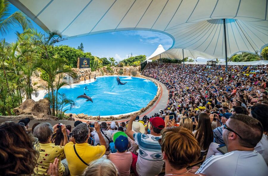 Tenerife: Loro Parque Entry Ticket - Penguins, aquarium, and animal habitats