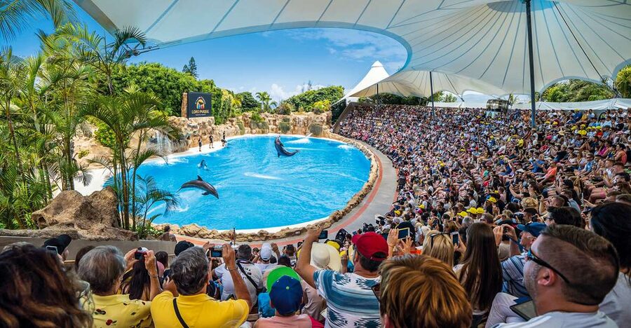 Tenerife: Loro Parque Entry Ticket - Orca Ocean and the other presentations