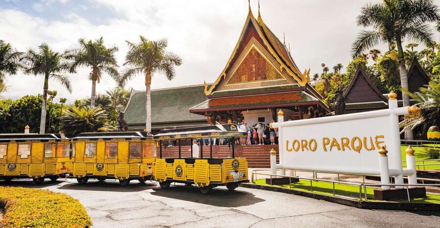 Tenerife: Loro Parque & Siam Park Entry Ticket with Transfer - Your Loro Parque day starts with the bus north