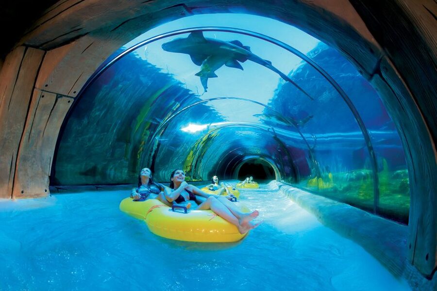 Tenerife: Loro Parque & Siam Park Entry Ticket with Transfer - FAQ