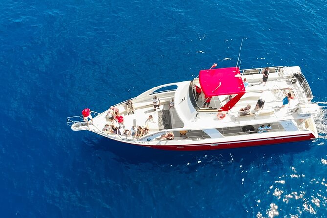Tenerife Los Cristianos: Whale and Dolphin Eco-Yacht and Swim Stop - Watching for whales and dolphins