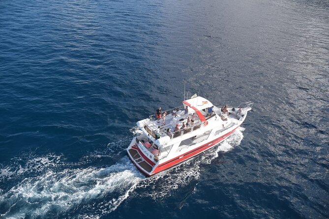 Tenerife Los Cristianos: Whale and Dolphin Eco-Yacht and Swim Stop - What the boat is like