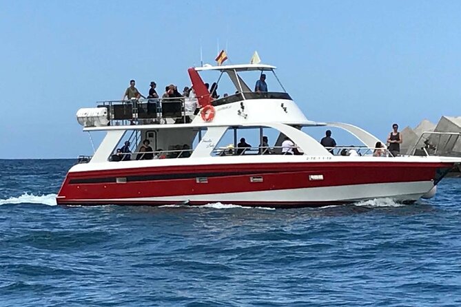 Tenerife Los Cristianos: Whale and Dolphin Eco-Yacht and Swim Stop - Who should book this trip?