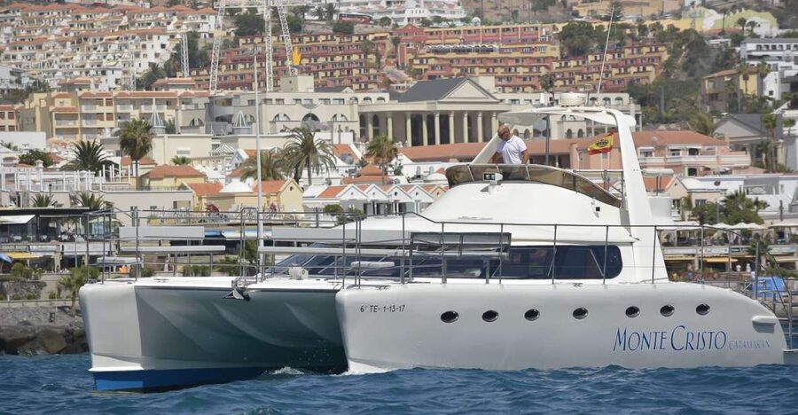 Tenerife: Marine-Life Tour with Transfer, Buffet and Drinks - What Makes This Cruise Worth Considering