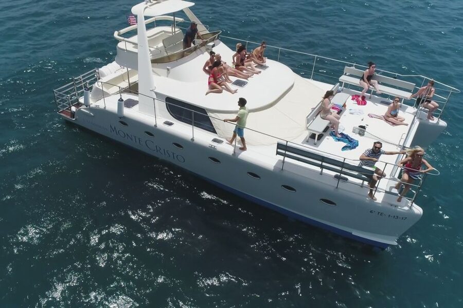 Tenerife: Marine-Life Tour with Transfer, Buffet and Drinks - From Puerto Colón to Open Water