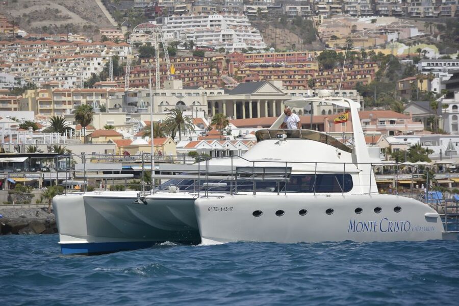 Tenerife: Marine-Life Tour with Transfer, Buffet and Drinks - A Swim Stop and a Tapas Lunch