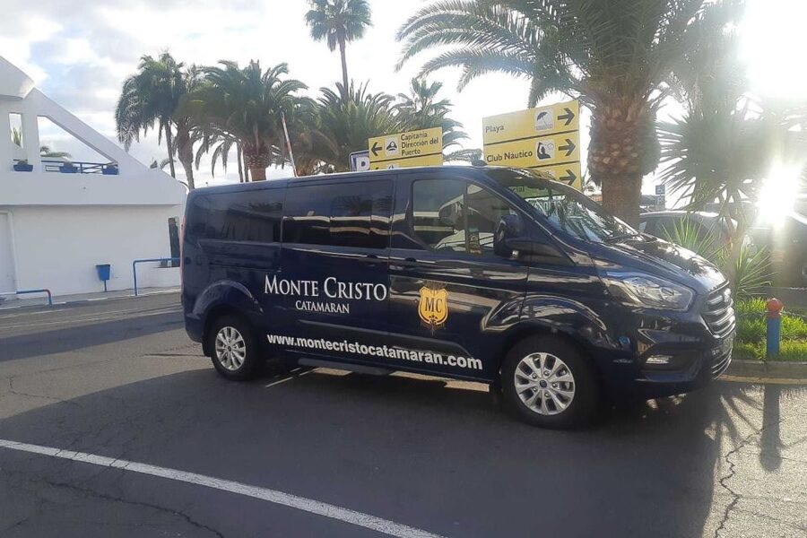 Tenerife: Marine-Life Tour with Transfer, Buffet and Drinks - Who Should Book This Catamaran Trip?