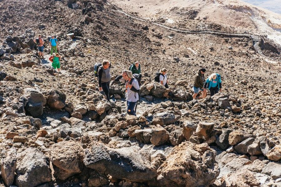 Tenerife: Mount Teide Summit Hiking Adventure with Cable Car - Is $160 good value for this hike?