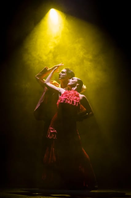 Tenerife : Olé Flamenco Show by Fran Chafino Ticket - What the evening feels like