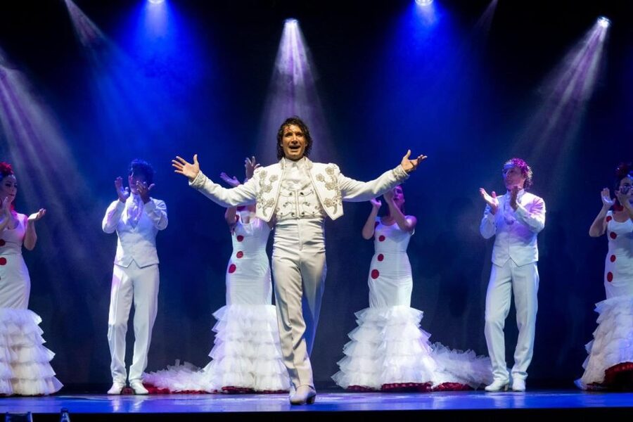 Tenerife : Olé Flamenco Show by Fran Chafino Ticket - Who should go, and who might skip it