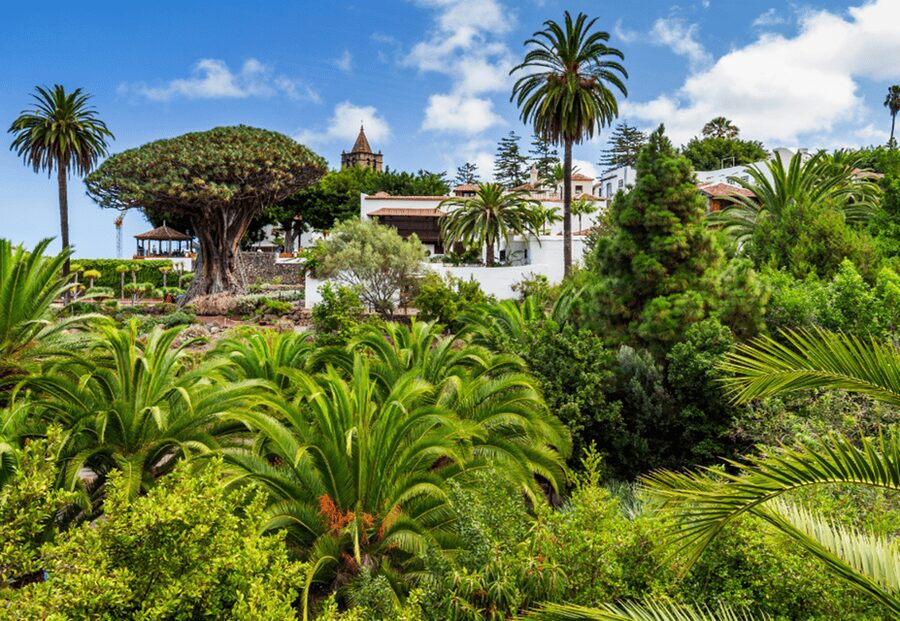 Tenerife: Private Day Tour of the Island with Hotel Pickup - A six-hour route across a very varied island
