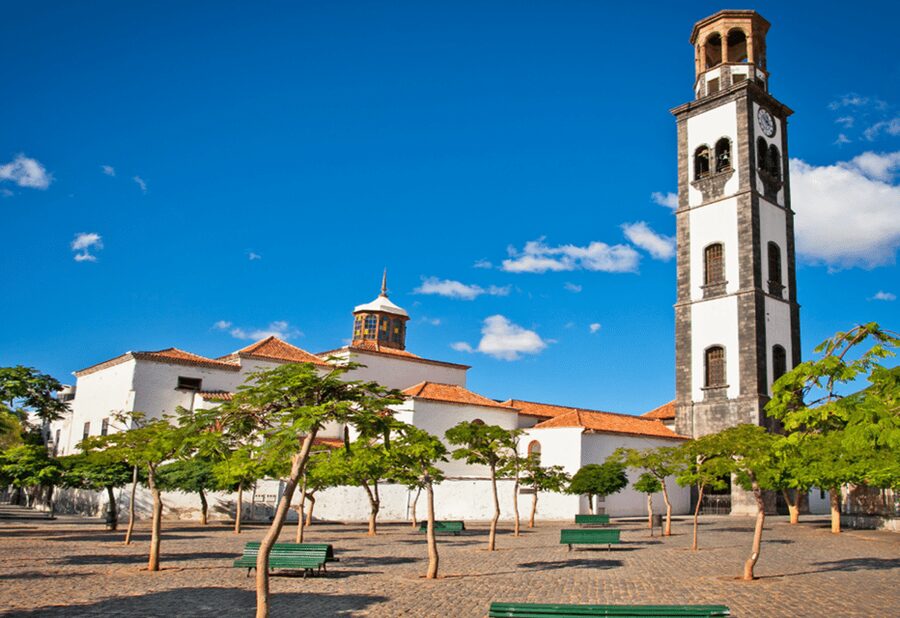 Tenerife: Private Day Tour of the Island with Hotel Pickup - Is $115 per person a fair price?