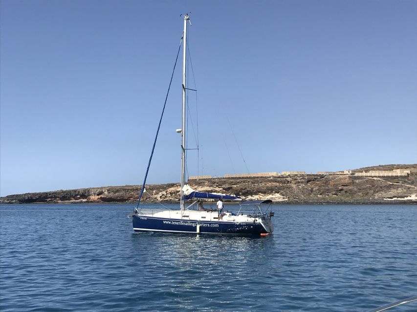 Tenerife: Private Sunset Charter with Drinks and Tapas - Looking for whales and dolphins