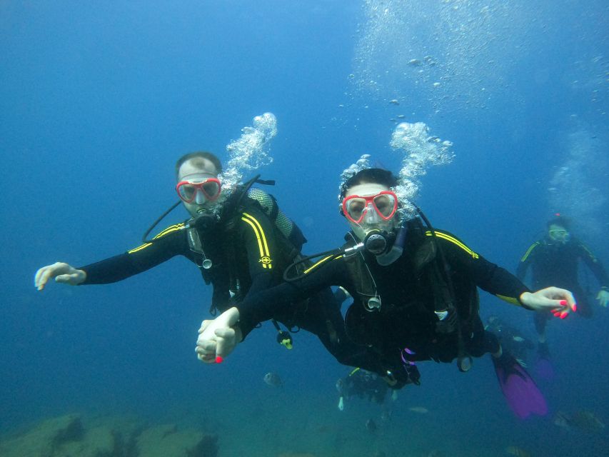 Tenerife: Puerto Colon Discover Scuba Diving Trip - About 40 minutes beneath the surface