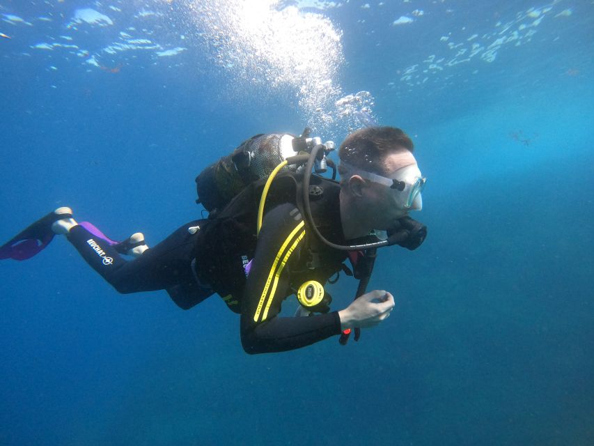 Tenerife: Puerto Colon Discover Scuba Diving Trip - Small practical details that can save a headache