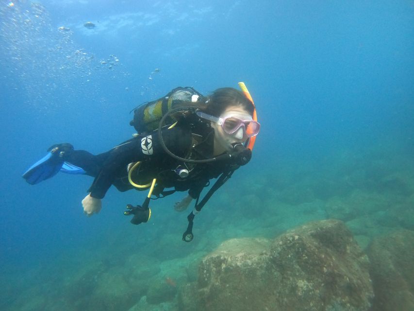 Tenerife: Puerto Colon Discover Scuba Diving Trip - Who should book this Puerto Colón experience?