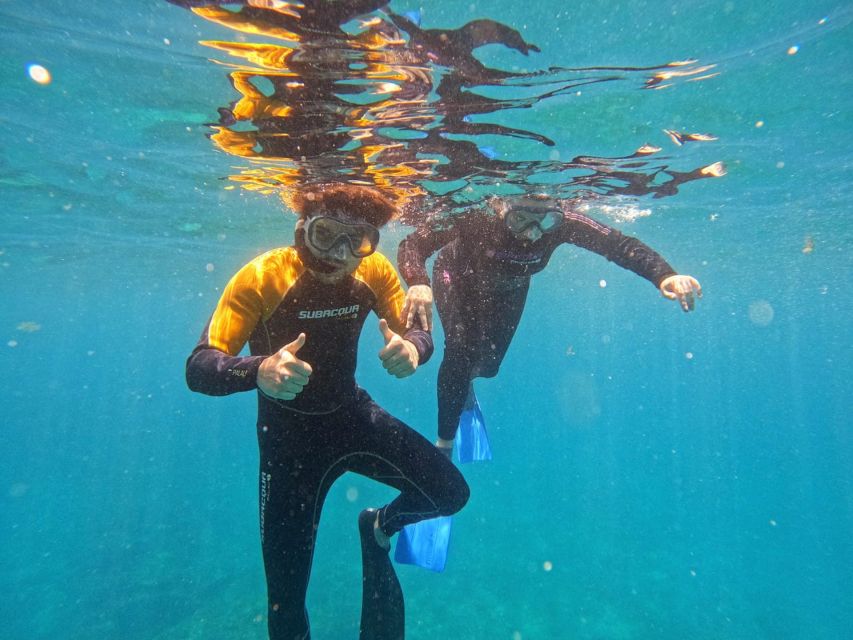 Tenerife: Puerto Colon Snorkel Safari by Speed Boat - The quick take