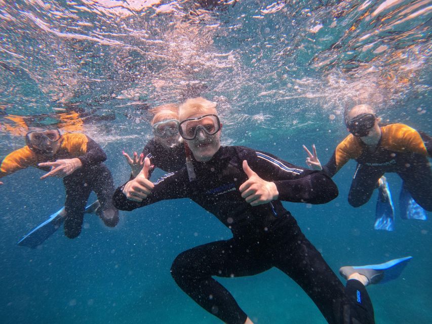 Tenerife: Puerto Colon Snorkel Safari by Speed Boat - Leaving Puerto Colón for a quieter bay