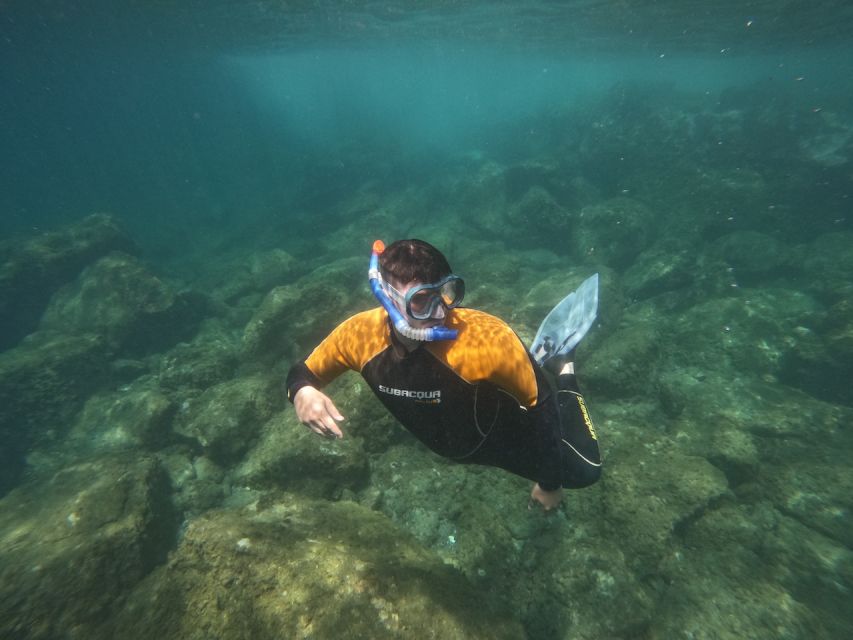 Tenerife: Puerto Colon Snorkel Safari by Speed Boat - About 50 minutes in the water