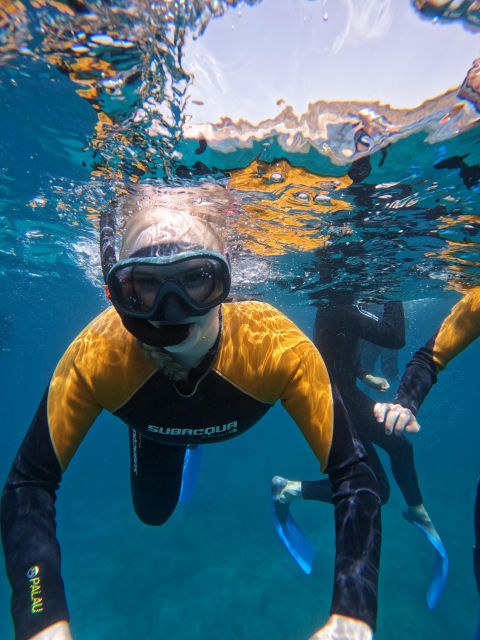 Tenerife: Puerto Colon Snorkel Safari by Speed Boat - Who will enjoy this trip most?