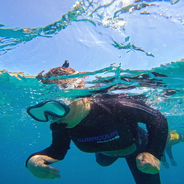 Tenerife: Puerto Colon Snorkel Safari by Speed Boat - Small details that make the day smoother