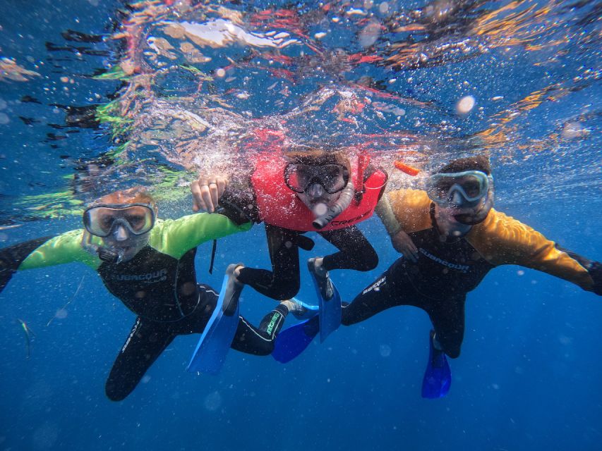 Tenerife: Puerto Colon Snorkel Safari by Speed Boat - FAQ