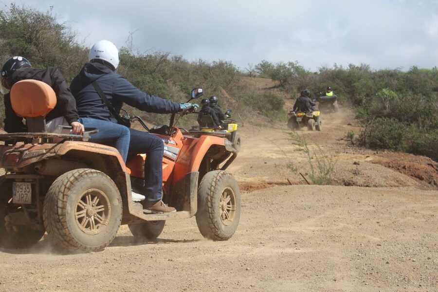 Tenerife: Quad Bike Off-Road Adventure - Choosing a mountain or coastal route