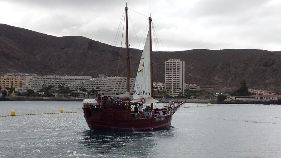 Tenerife:Respectful Whale Watching, Pirate Ship, & Swim - Taking the Swimming Stop