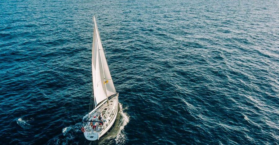 Tenerife: Sailboat Tour with Food and Snorkeling - Looking for whales, dolphins, turtles, and seabirds