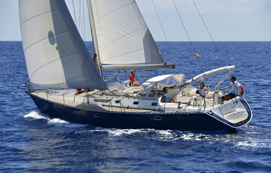 Tenerife: Sailing Excursion with Whale and Dolphin Watching - Watching pilot whales without a chase
