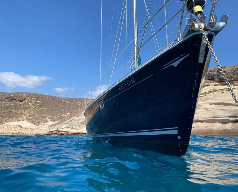 Tenerife: Sailing Excursion with Whale and Dolphin Watching - Snacks, drinks, and the barefoot rule